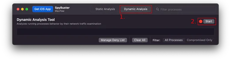 Dynamic analysis start